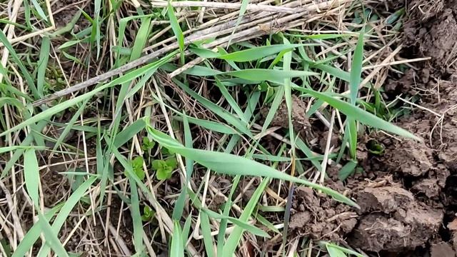 Находки просто супер и опять реликвия смотреть онлайн