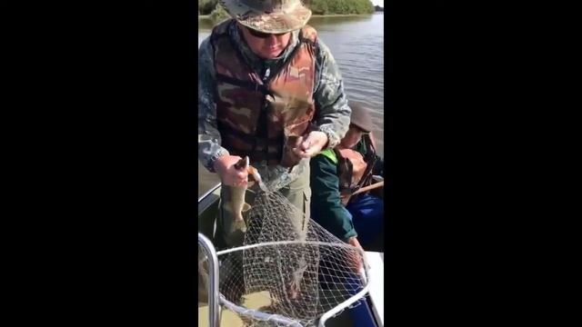 Рыбалка на хищника в Астраханской области на базе "Верхнелебяжье fish resort" смотреть онлайн