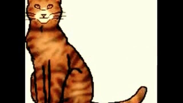 FireStar's Death (IMPROVED!!!) смотреть онлайн
