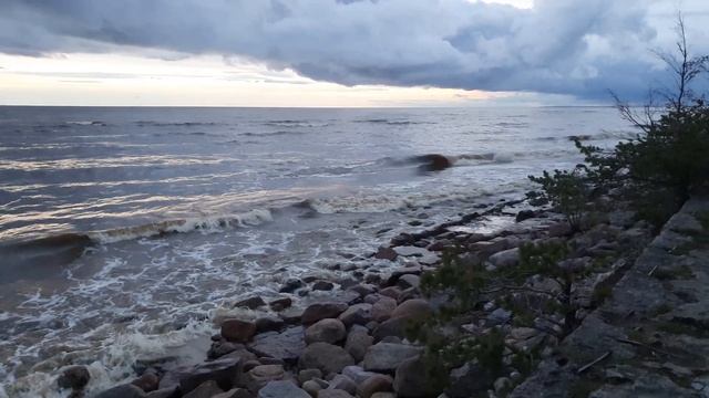 Финский залив октябрь 2023, волны, берег, камни, гранит, облака, закат. смотреть онлайн