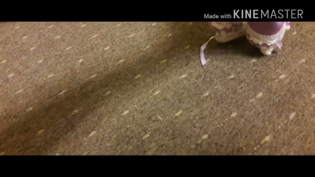 Утро сплюшки)Извенити за руки которые влазили в кадр) смотреть онлайн