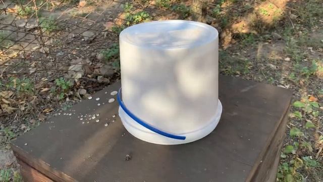 Подготавливаем пчел в зиму, даем сахарный сироп смотреть онлайн