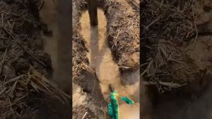 Скважина своими руками. Как понять, что начался водонос. Коротко о главном.