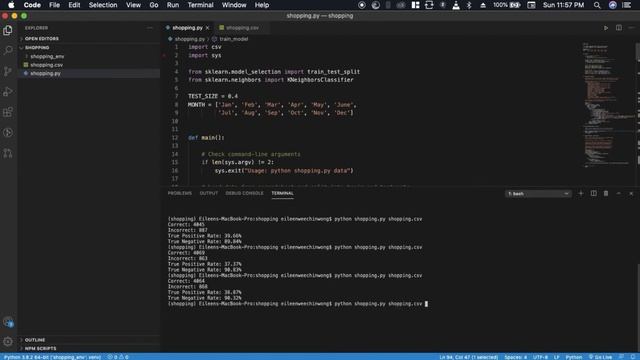 Harvard CS50 AI with Python 2020: Shopping смотреть онлайн