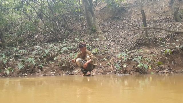 Orphans search for fruit in the forest, drink waterfalls, live in the forest смотреть онлайн