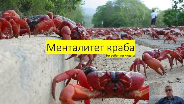 Теория ведра с крабами психология. Менталитет краба. смотреть онлайн