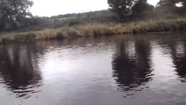 Catching Salmon on the Blackwater (Munster) Ireland. Forgot my landing net! смотреть онлайн