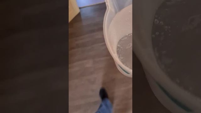 Восхитительный Али...