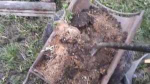 Начал засыпать старый колодец