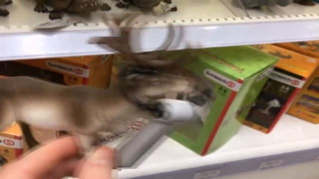 Учим Животных на английском Слон Енот Олень Утка Развивающие Мультики для Детей смотреть онлайн