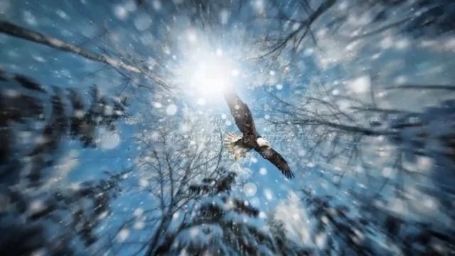 Псалом 101 смотреть онлайн