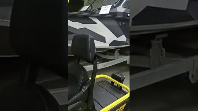 Снегоход РМ Frontier 1000, 2021 смотреть онлайн