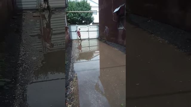 Краснодар. Достопримечательности??!! Центр. После дождичка..и так всегда! смотреть онлайн
