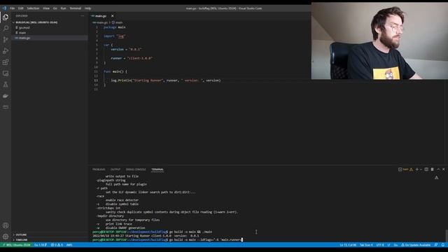 Modify Variables In Go Binaries During Build смотреть онлайн