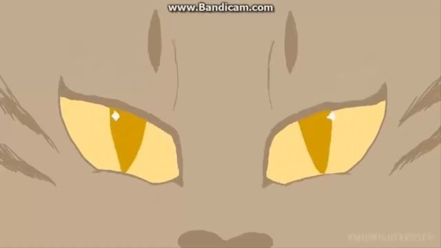 Коты- Воители . Листвичка и Грач ,Время и Стекло- Так выпала карта смотреть онлайн