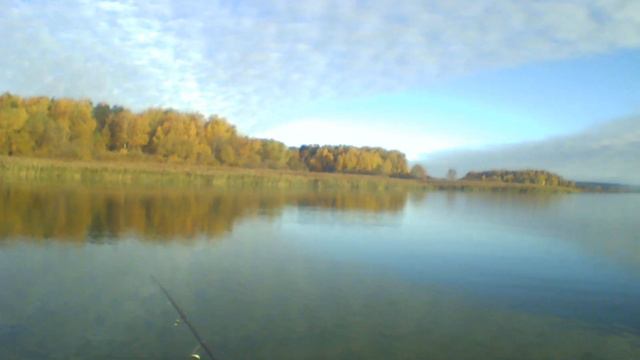 ловля ОКУНЯ на отводной смотреть онлайн