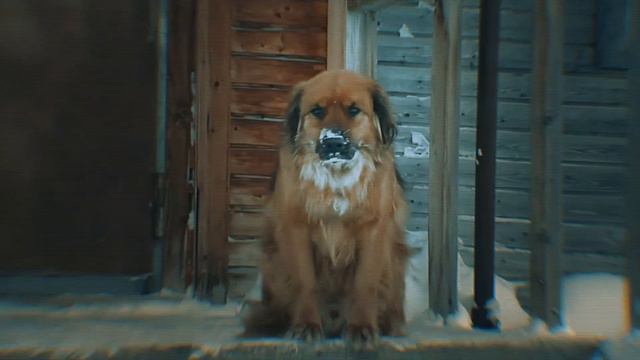 Доклад Губернатора Ямала Д А Артюхова 2021 смотреть онлайн