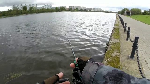 Нано джиг на Москва реке и Борисовских прудах ! Gammarus NJ в деле !!! смотреть онлайн