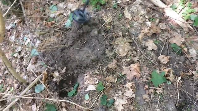 Лесные Копатели / КАК ПРАВИЛЬНО ШУРФИТЬ / смотреть онлайн