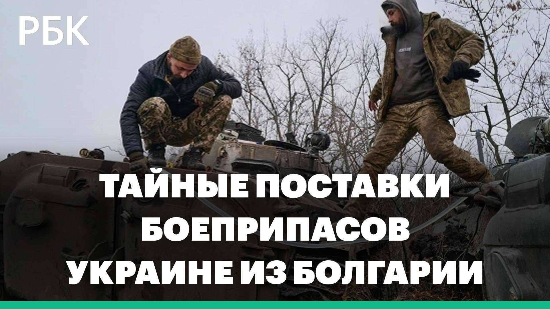 Welt: Болгария тайно поставляла Украине боеприпасы и дизельное топливо