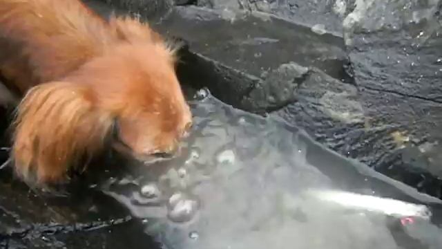 Как ловить рыбу без помощи рук смотреть онлайн