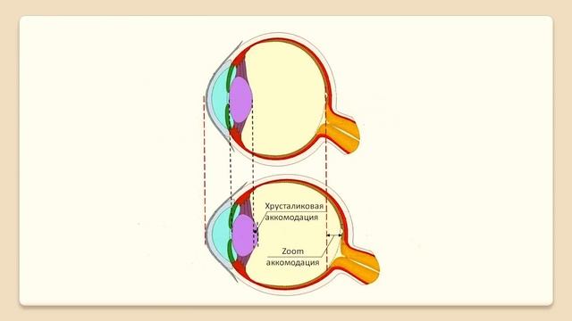 Профессор Дембский: восстановление зрения