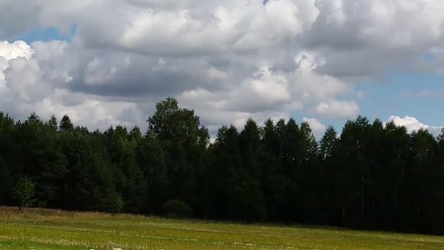 Соматика на козьем дворе/Продажи на выборах смотреть онлайн
