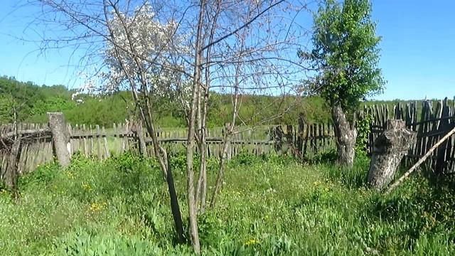Пионерский огород.Садово-огородные работы.