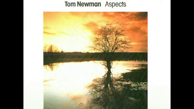 TOM NEWMAN The Stonemason's Yard ASPECTS смотреть онлайн