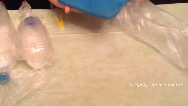 536 Идеи на тему «Проращивание семян" смотреть онлайн