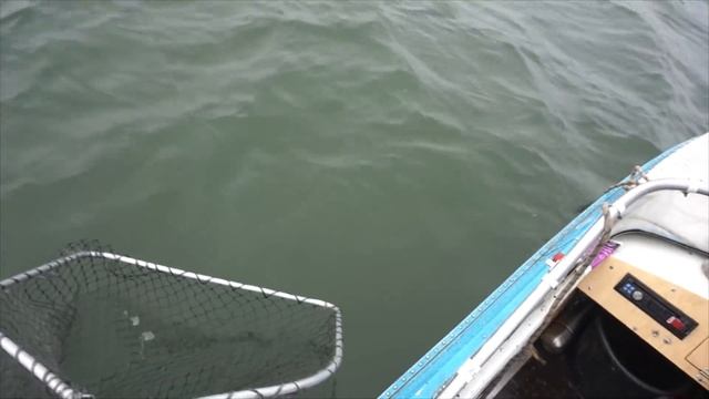 Щука в октябре. Игра не по правилам. смотреть онлайн