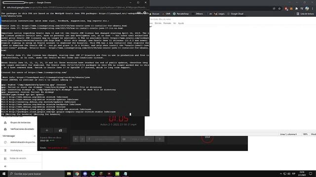 Como instalar JAVA 17 en LINUX 9 Stretch 2023 смотреть онлайн