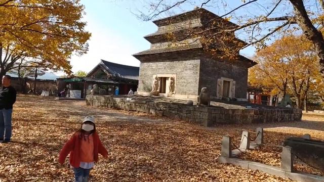 Bunhwangsa Temple (분황사) | Autumn in Korea | John Wick The Chow смотреть онлайн