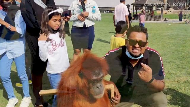 THE HIDDEN ZOO IN UAE | UMM AL QUWAIN | PLACES TO VISIT IN UAE смотреть онлайн