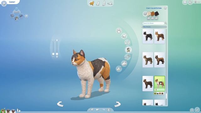 A Litter of OTTER x Calico Kittens?! ??? смотреть онлайн