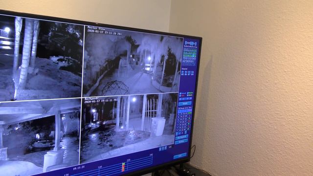 Backyard Monster Takes the BAIT Caught on Camera!!! смотреть онлайн