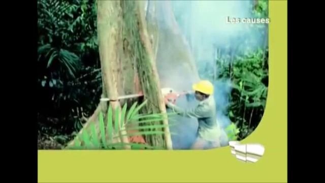 4éme -T1- Chap 1- Act 1- Montage vidéo Risques naturels brgmTV смотреть онлайн