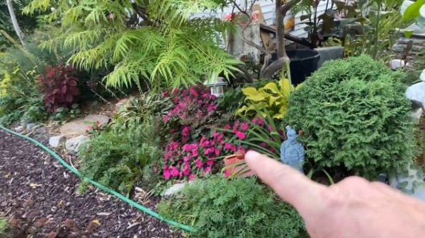 Fall cleanup and harvest time! [Garden Talk Episode #14]