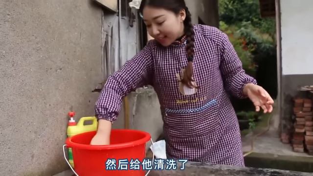冬天最適合吃羊肉，小雨做“粉蒸羊肉”暖身子，不腥不羈金老師吃嗨了！ 【市民朱小雨】 смотреть онлайн