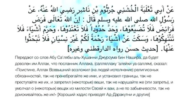Хадис 30. Границы Аллаха Всевышнего и Его запреты смотреть онлайн