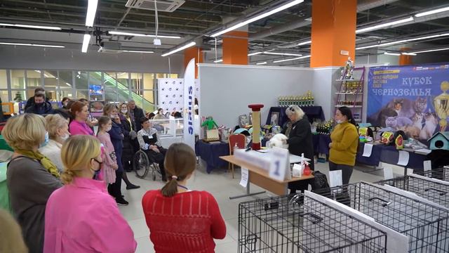 «Миллион друзей» 14.01.22