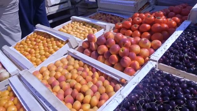 ахбор тв точикистон Новосибирск