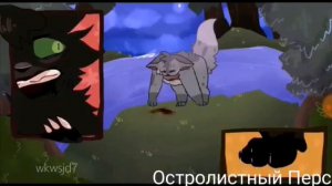 Коты-воители \Белка&Уголёк&Остролистая \Этой ночью будет жарко