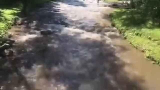 Горная река Белокурихи смотреть онлайн