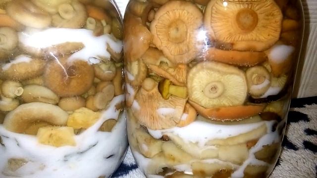 Как правильно солить грибы на зиму в банках. смотреть онлайн