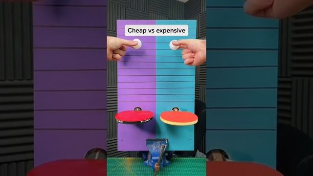 cheap vs Expensive table tennis racket #sports #racket смотреть онлайн