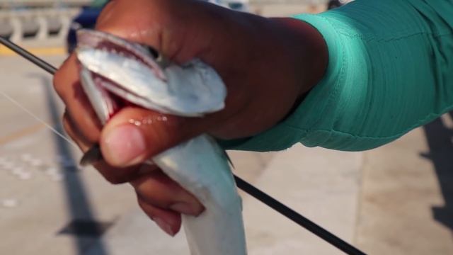 Using the WRONG hooks? The BEST hooks for Pier Fishing! смотреть онлайн
