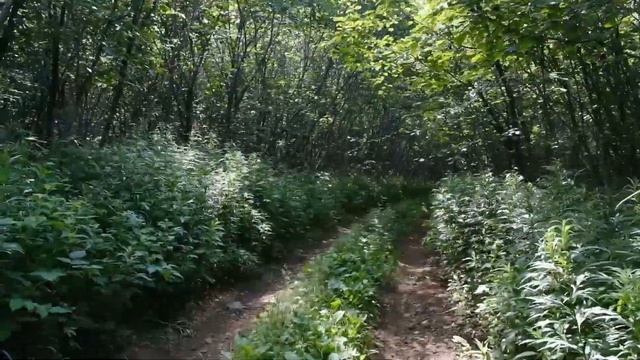 Акция «РОСМОРПОРТ – 20 лет верным курсом!» в Северо-Восточном бассейновом филиале смотреть онлайн