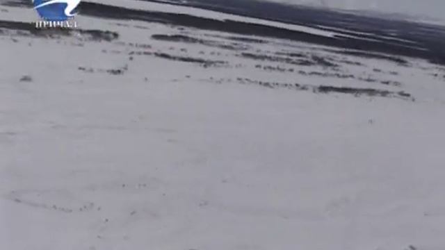 Кроноцкому заповеднику 80 лет смотреть онлайн