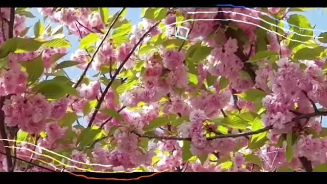 Майский праздник смотреть онлайн